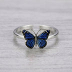 The Butterfly
