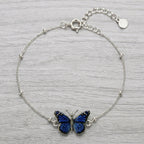 The Butterfly