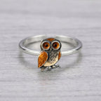 The Owl