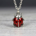 The Ladybug