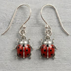 The Ladybug