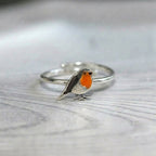 The Robin